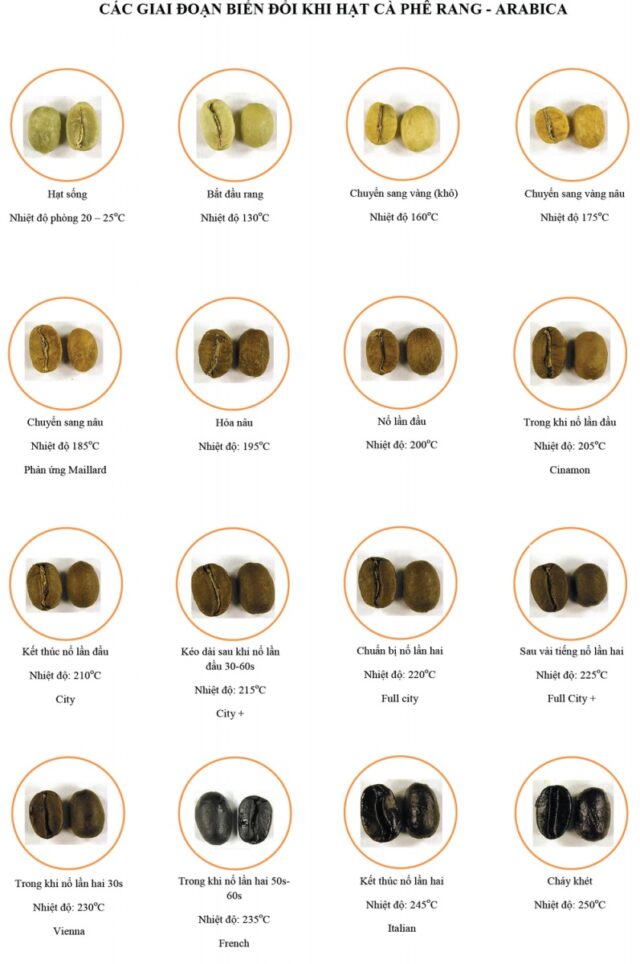 Các giai đoạn biến đổi của hạt cà phê khi rang